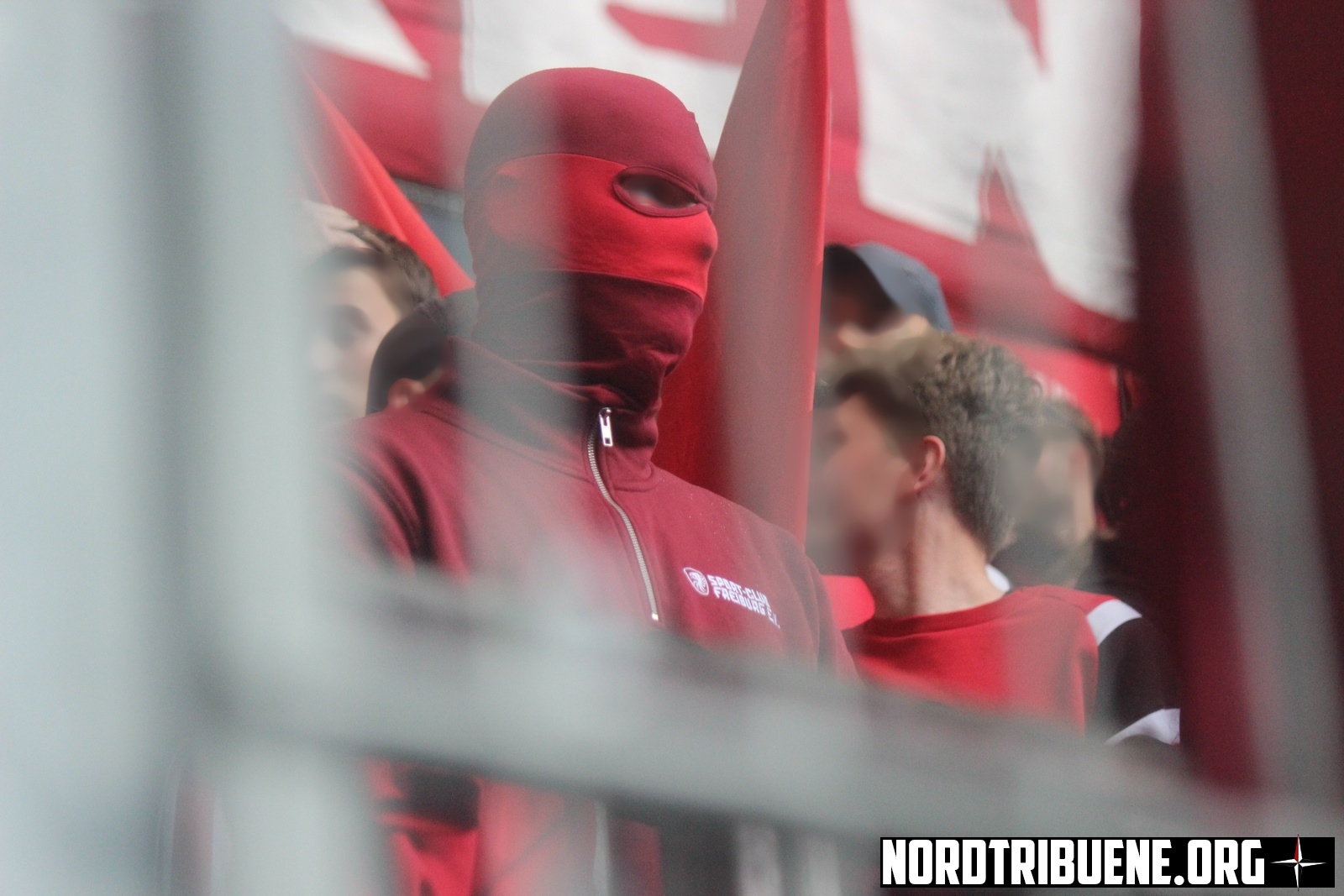 Titelbild VfL Wolfsburg - SC Freiburg
