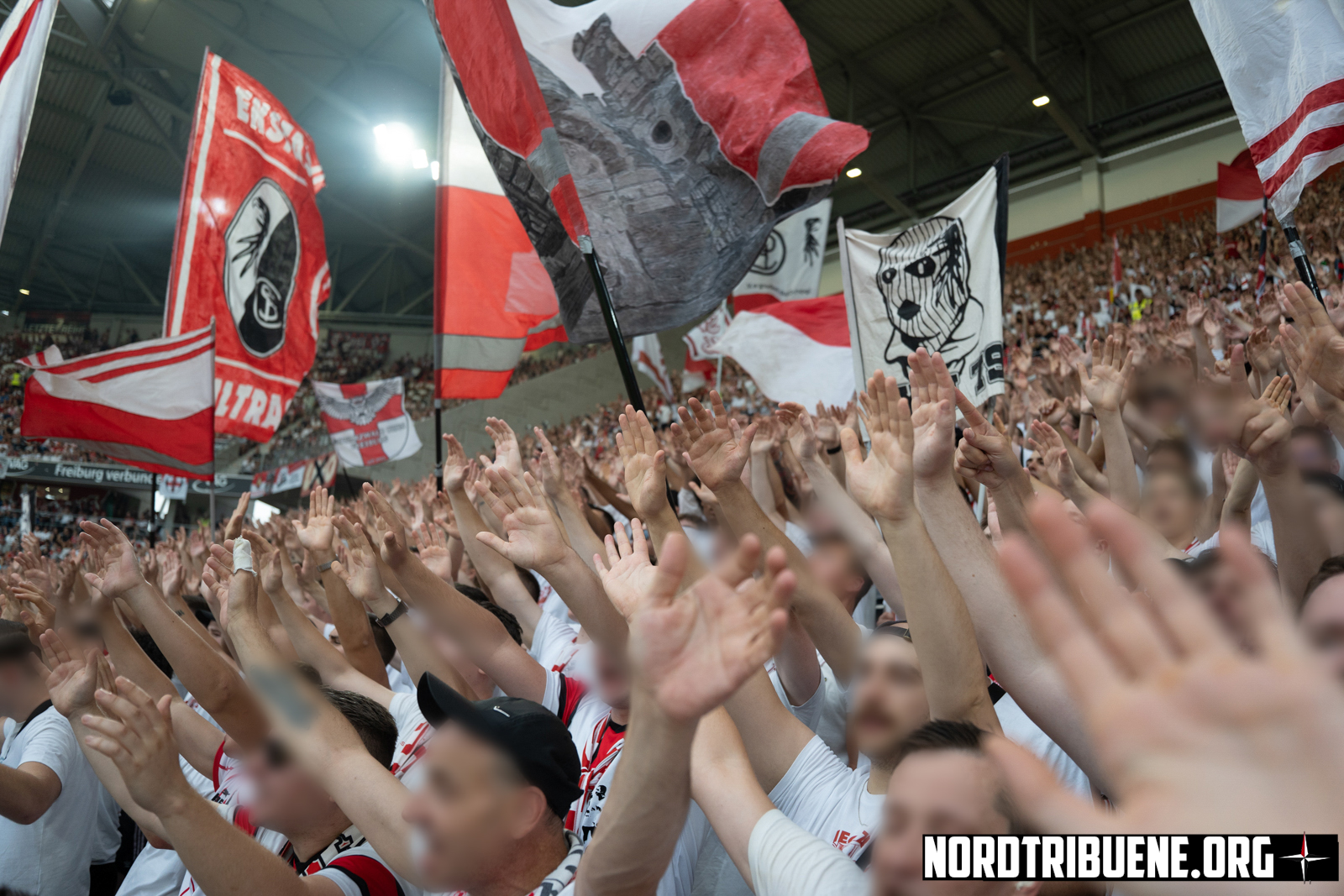 Titelbild SC Freiburg - FC Motherwell