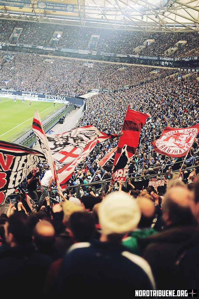 S04-SCF-1415-005.jpg