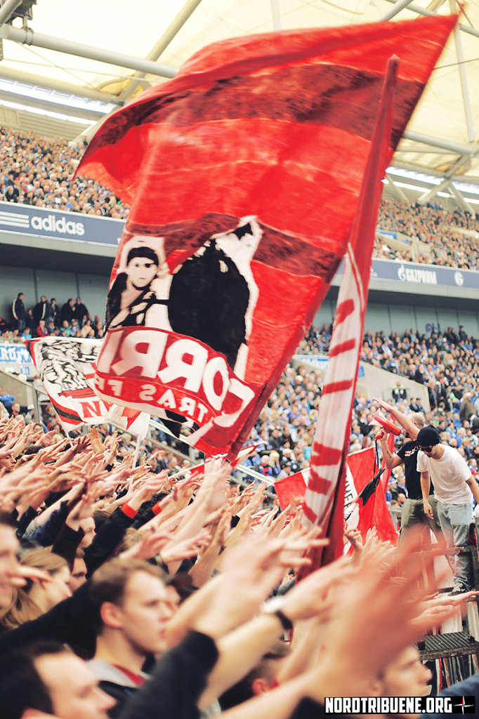 S04-SCF-1415-014.jpg
