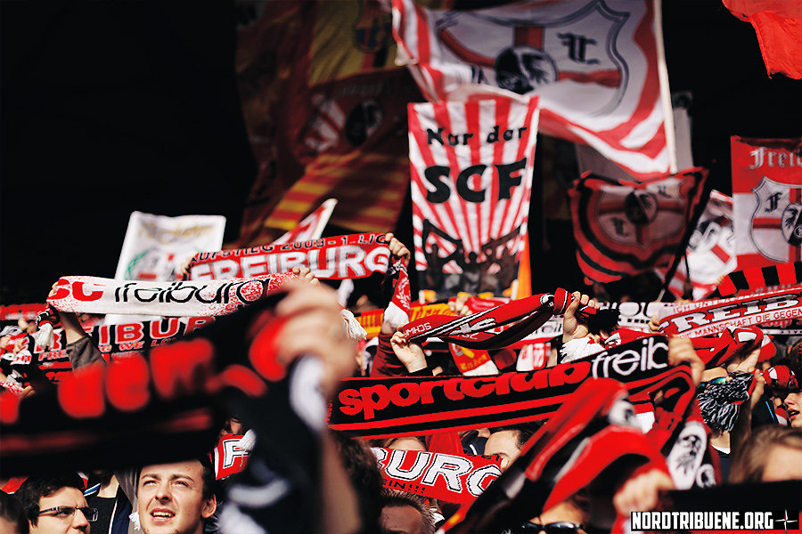 SCF-BTSV-1516-008.jpg