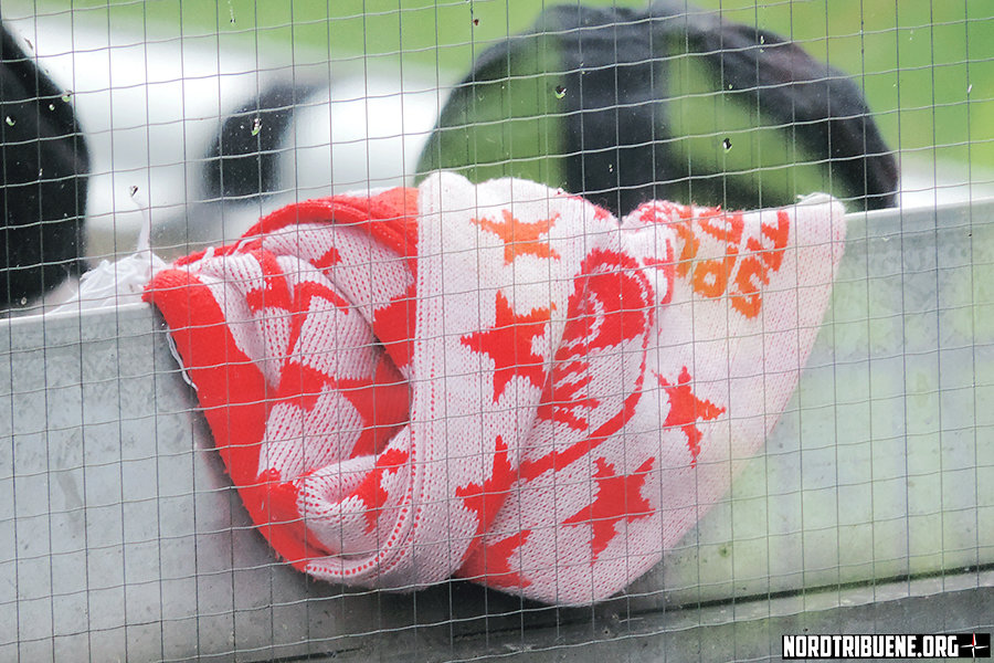 SCF-F95-1516-017.jpg