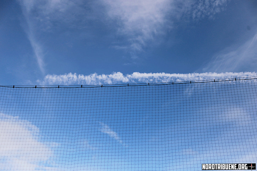 SVS-SCF-1516-022.jpg