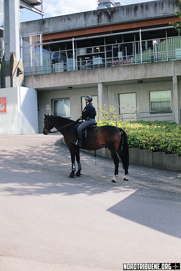 SCF-FCH-1516-048.jpg
