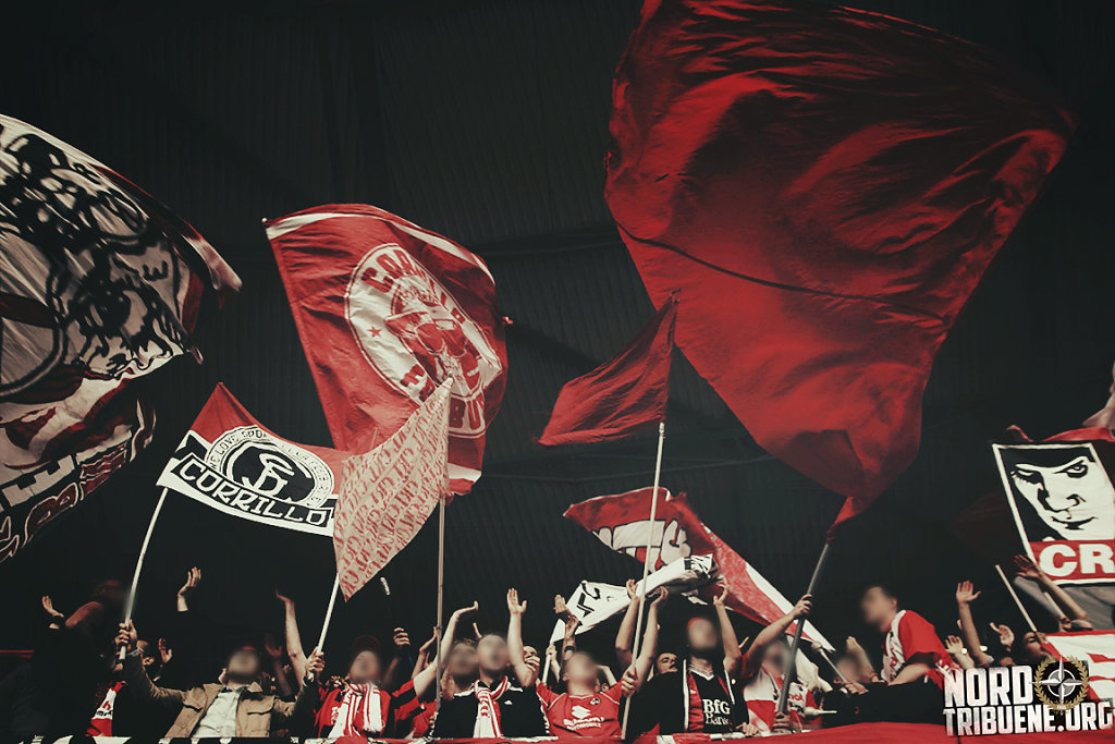 IMG-7896.jpg